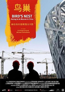 鸟巢：赫尔佐格和德梅隆在中国