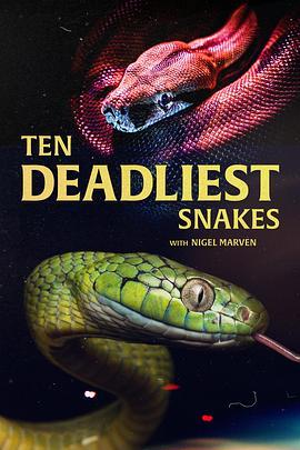 十大毒蛇第一季