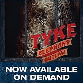 TykeElephantOutlaw