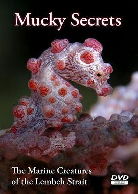 海底沉积猎奇：蓝碧海峡的海洋生物