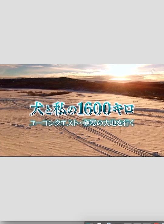 什么什么的呼唤600字作文