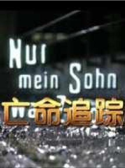 三合一复合面料是什么