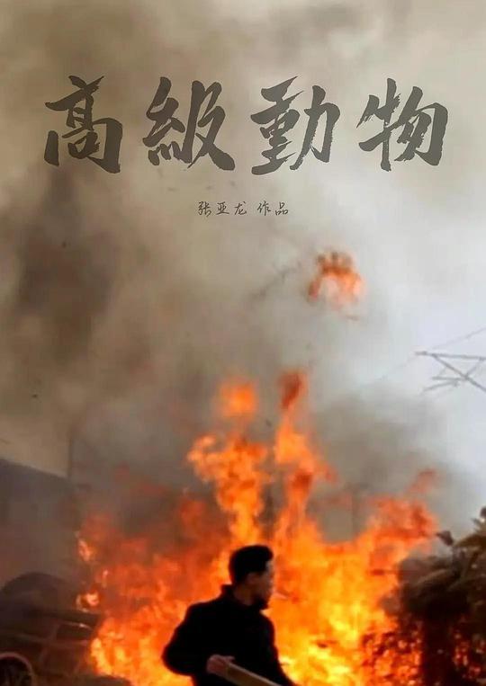 阿马蒂亚森的可行能力理论