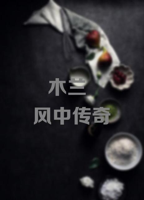 《红楼梦(蒙古王府藏本)》