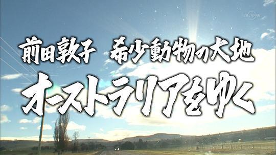 化身孤岛的鲸歌曲表达了什么意思