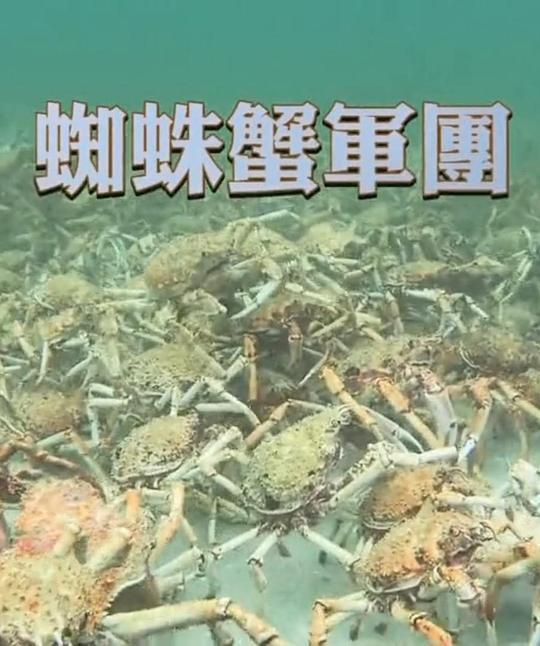 刽子手小巷隐藏空间