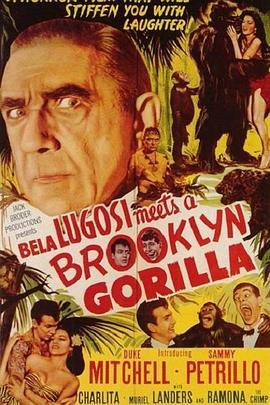贝拉卢高希遇上布鲁克林的大猩猩