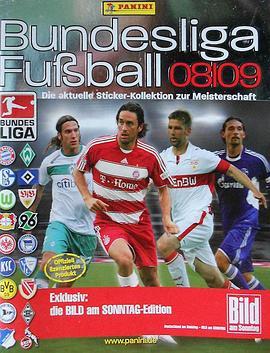 德甲联赛2008-2009赛季