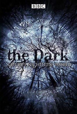 黑暗中的自然界
