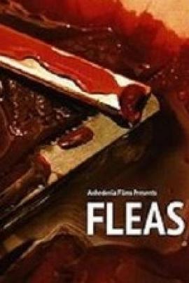 Fleas